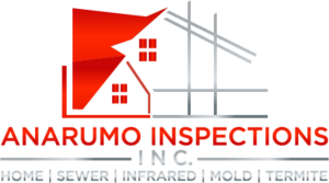 Anarumo Inspection Services logo
