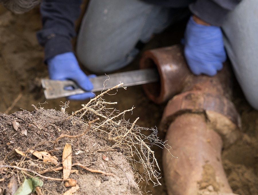 How Inspections Can Save Your Plumbing
